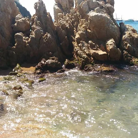 Cal Maduxaire Casa Aislada-hipica Holiday home San Juan de Palamos